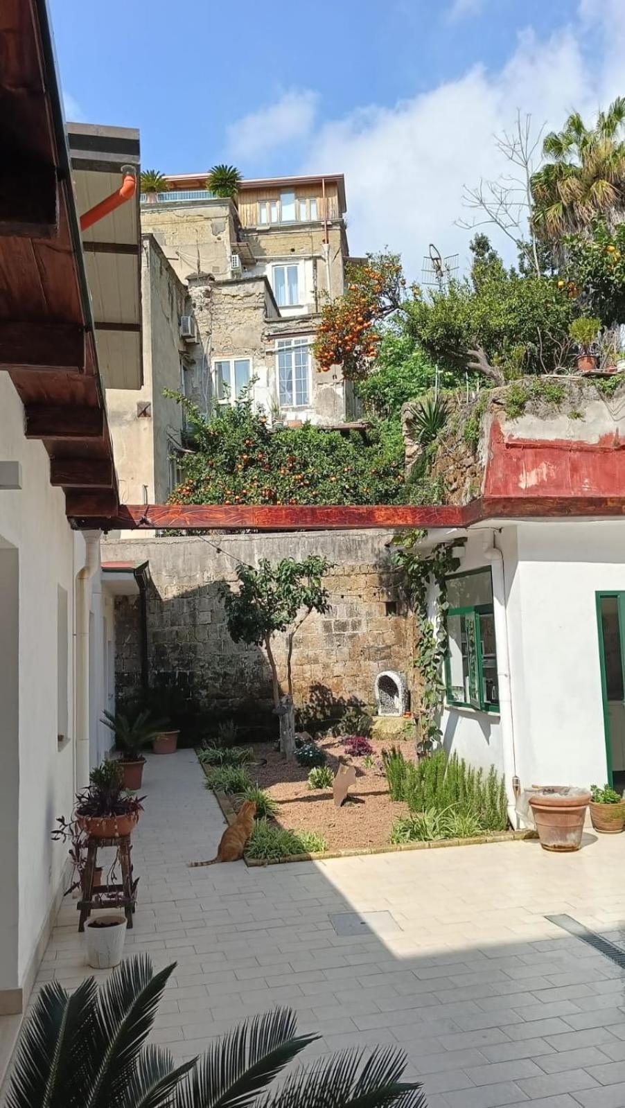 La Puteca Bed & Breakfast Napoli Dış mekan fotoğraf